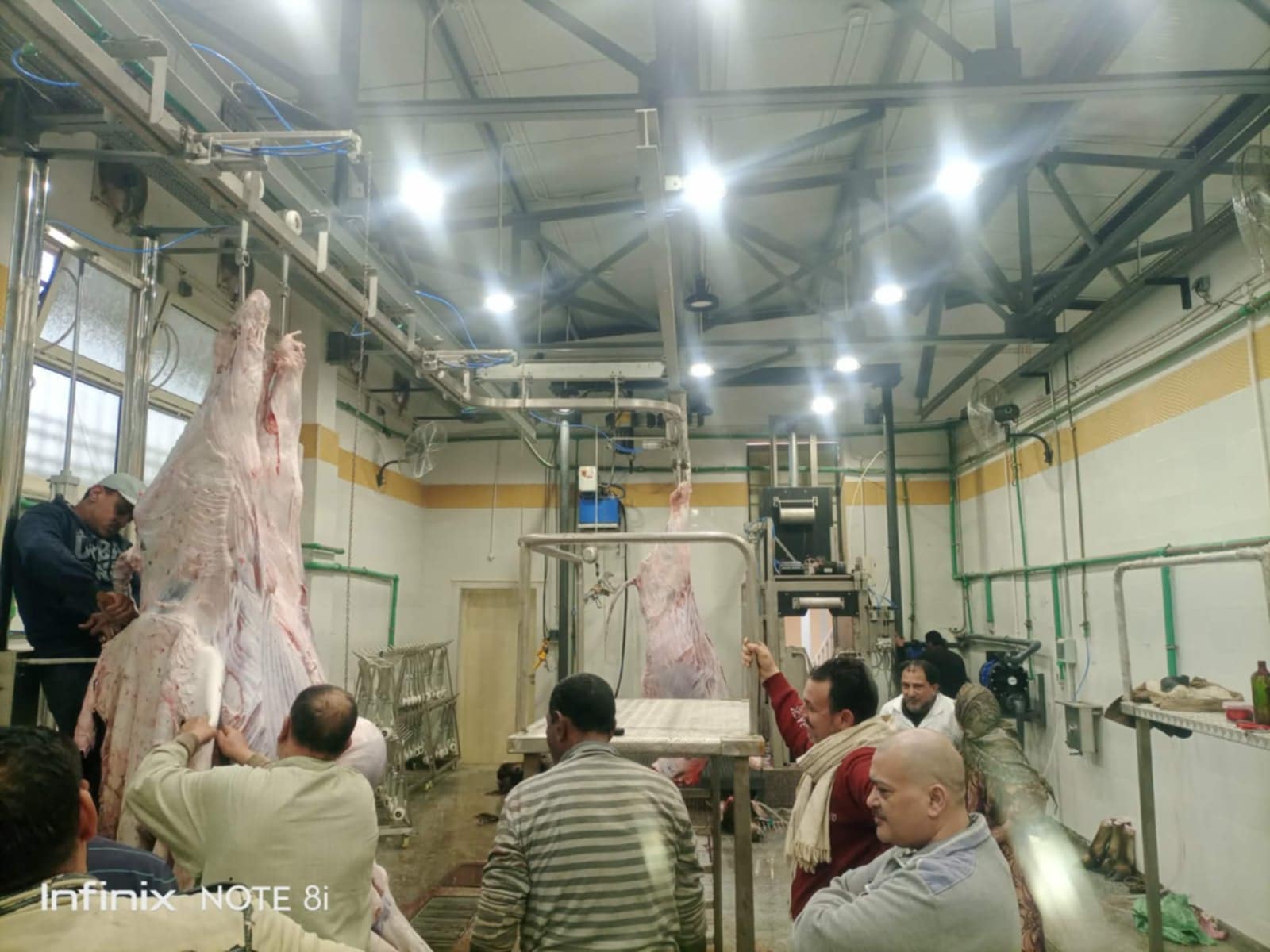 وزيرة التنمية المحلية تعلن التشغيل التجريبي لمجزر بيلا بكفر الشيخ 